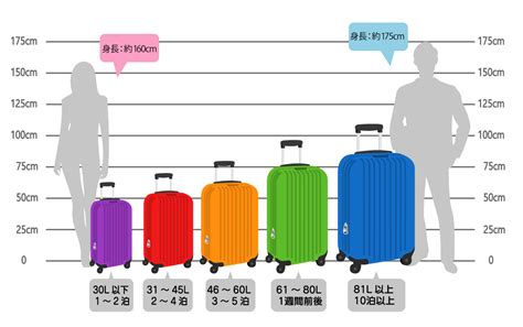 どのサイズを選ぶ？普段使いから旅行まで！万能なロ .